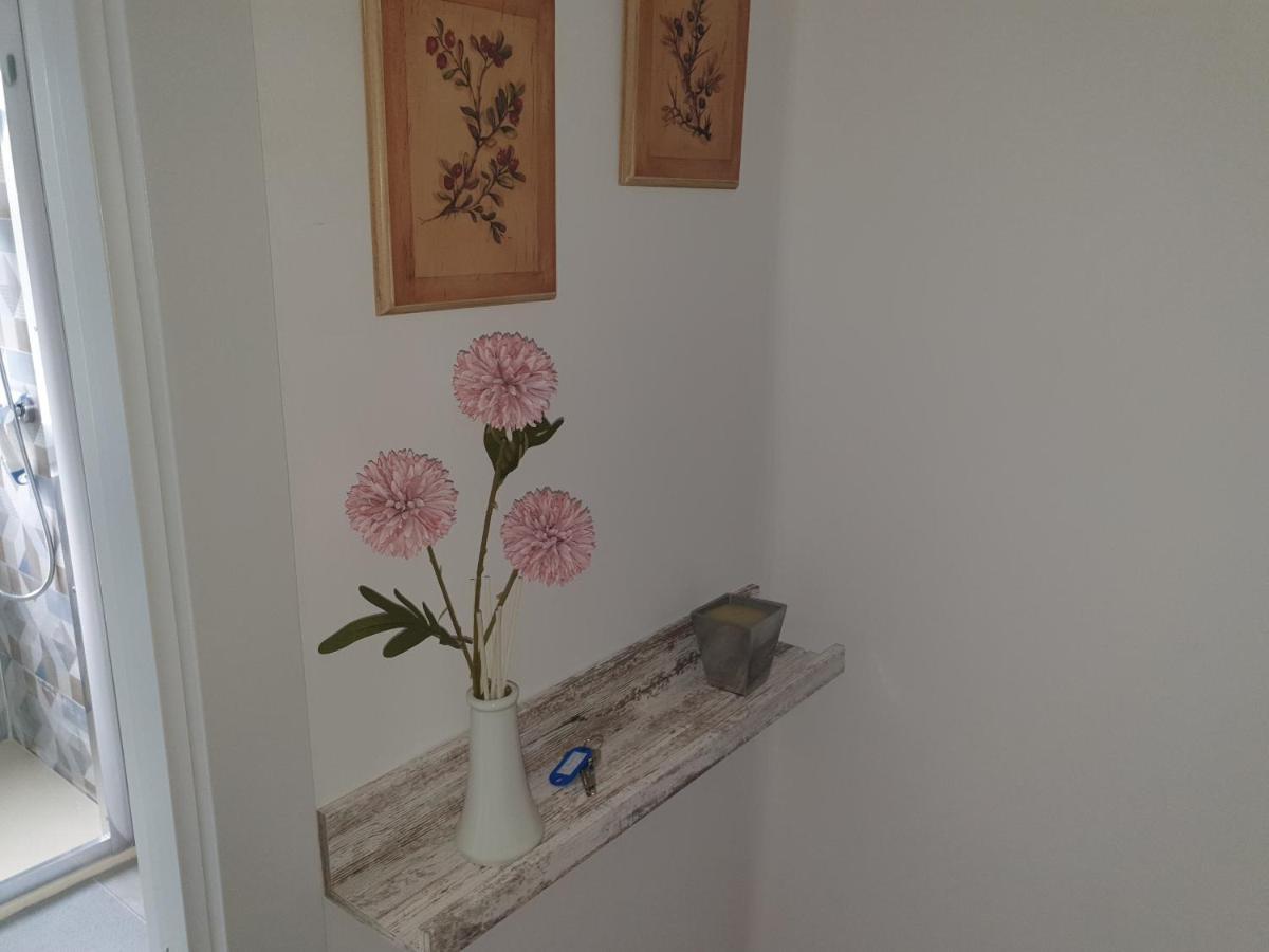 Con Encanto Apartment *